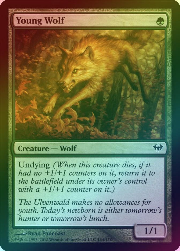 Young Wolf (Foil) (DKA)
