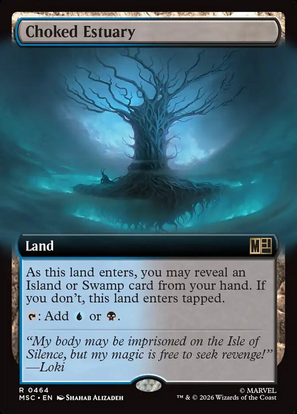 Choked Estuary - Extended Art (MSC)