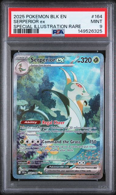 Serperior ex (164) -Black Bolt - Special Illustration Rare - Mint 9