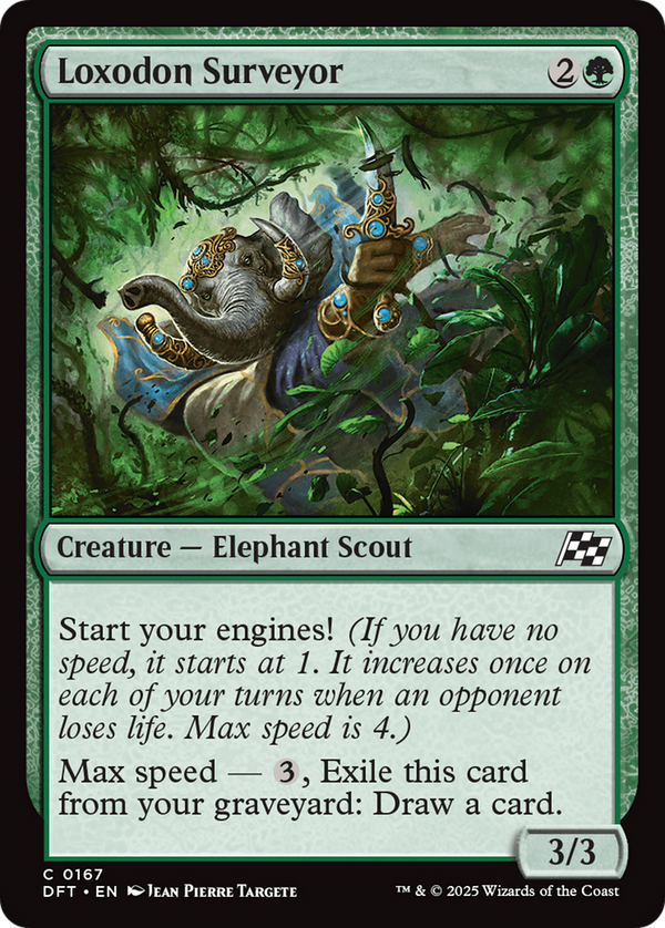 Loxodon Surveyor (DFT)