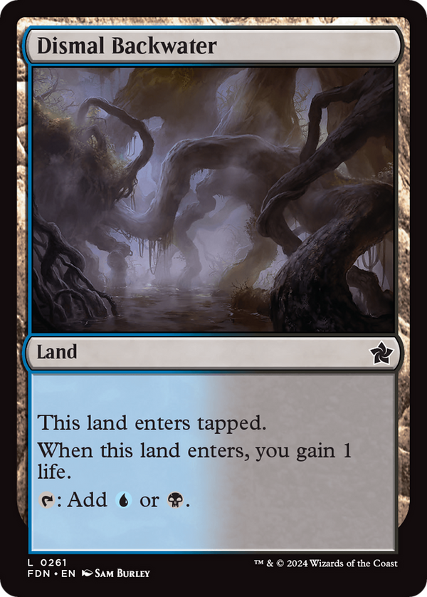 Dismal Backwater (FDN)