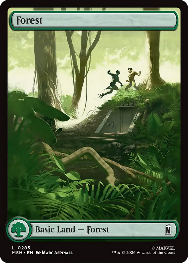 Forest (285) (MSH) (Pre-Order)