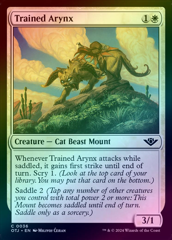 Canada's Source for MTG Cards and Magic The Gathering Sealed!
