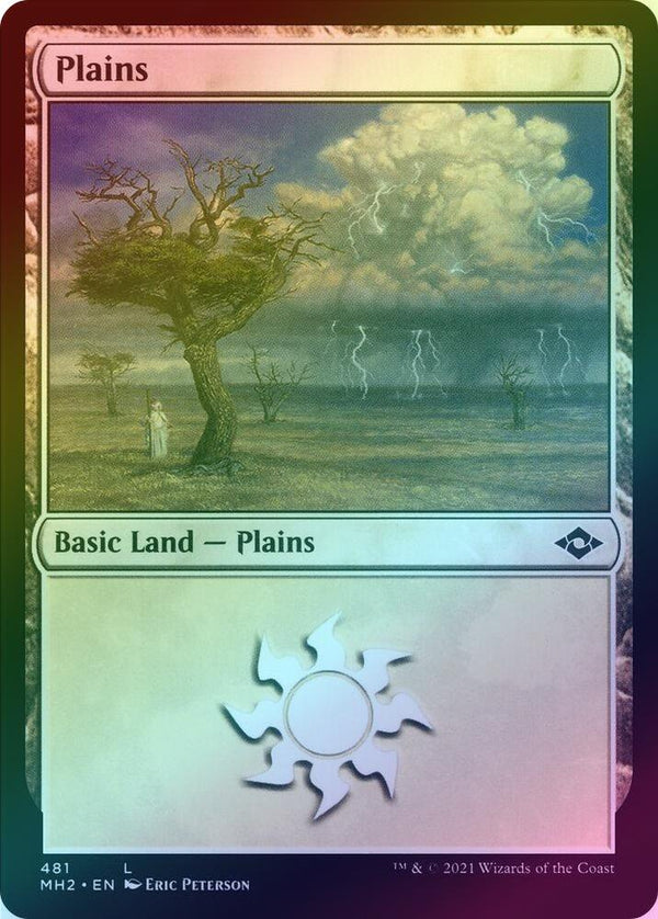 Plains (481) (Foil) (MH2)