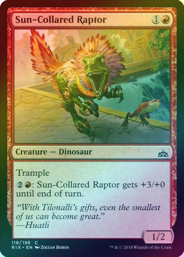 Sun-Collared Raptor (Foil) (RIX)