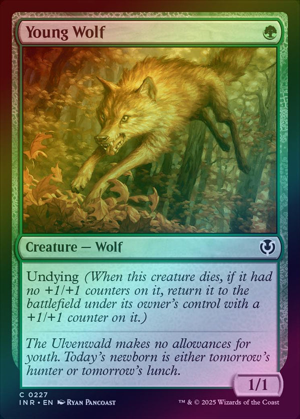 Young Wolf (Foil) (INR)