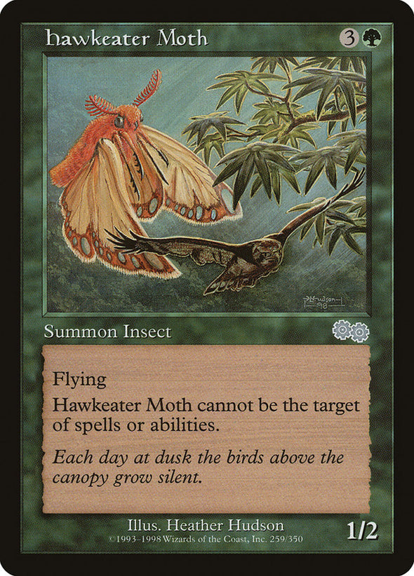 Hawkeater Moth (USG)