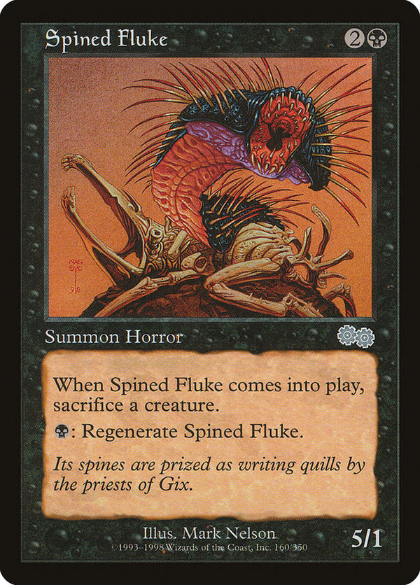Spined Fluke (USG)