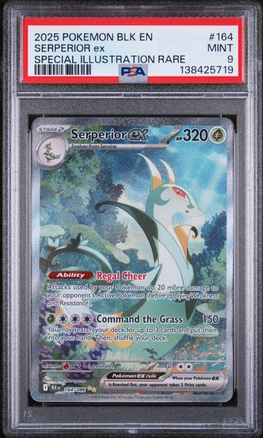 SERPERIOR EX (164) - POKEMON BLK EN-BLACK BOLT - SPECIAL ILLUSTRATION RARE - MINT 9