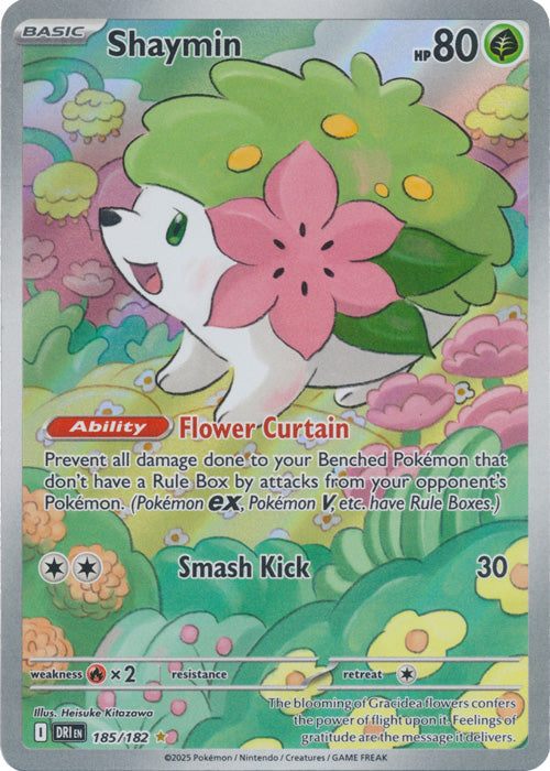 Shaymin - 185/182 - Illustration Rare