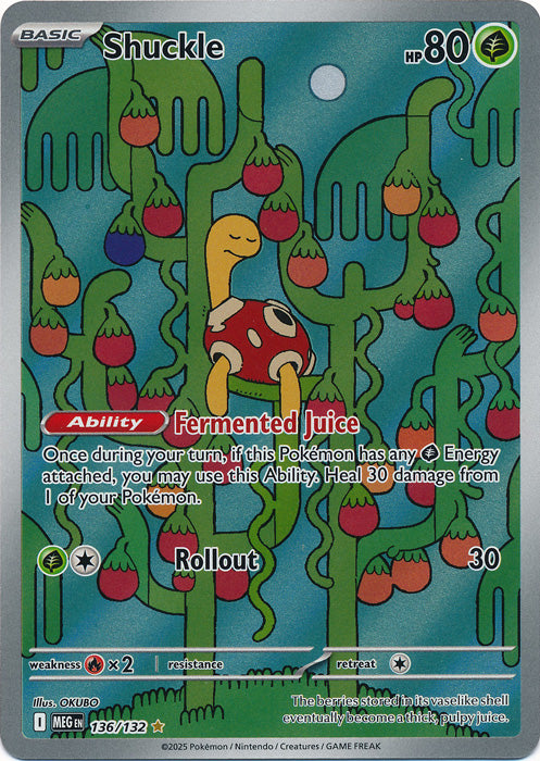 Shuckle - 136/132 - Illustration Rare