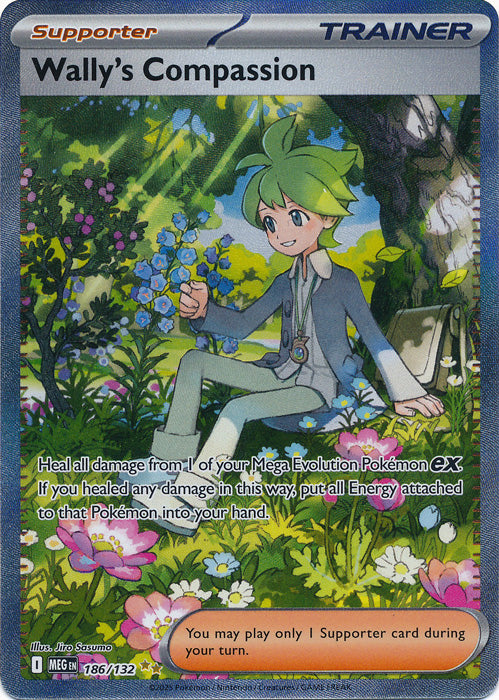 Wally's Compassion - 186/132 - Special Illustration Rare