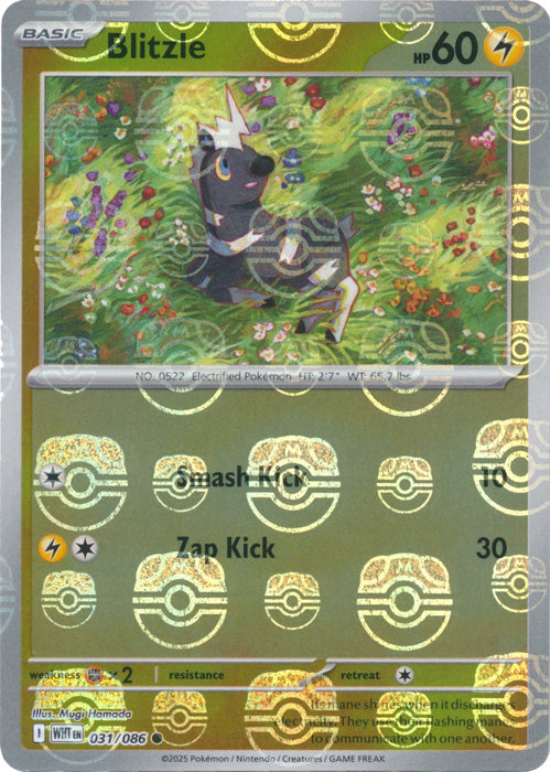 Blitzle (Master Ball Pattern) - 031/086 - Common