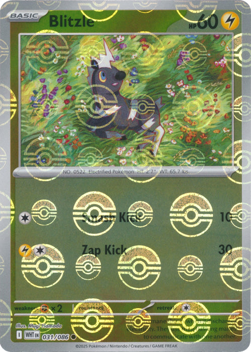 Blitzle (Poke Ball Pattern) - 031/086 - Common