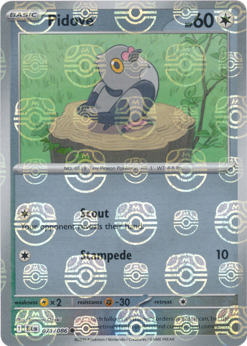 Pidove (Master Ball Pattern) - 071/086 - Common