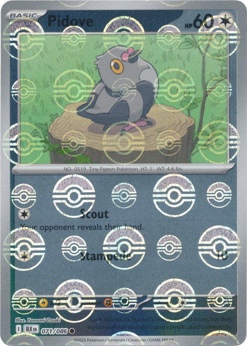 Pidove (Poke Ball Pattern) - 071/086 - Common