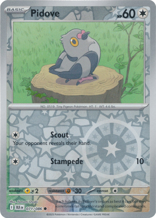 Pidove - 071/086 - Common - Reverse Holo