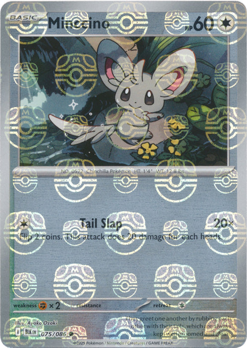 Minccino (Master Ball Pattern) - 075/086 - Common