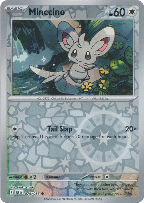 Minccino - 075/086 - Common - Reverse Holo