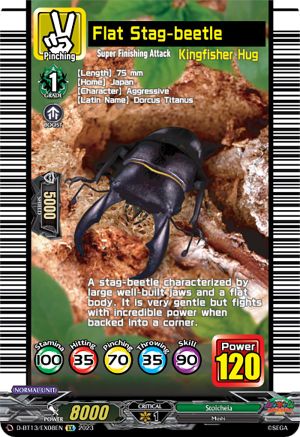 Flat Stag-beetle - D-BT13/EX08EN - Extra Rare